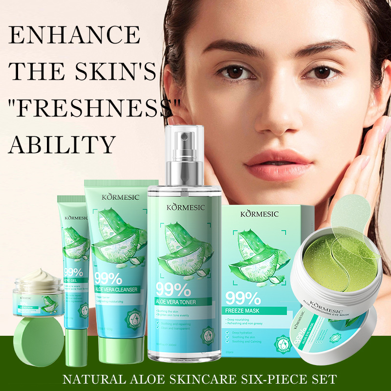 Aloe Vera Hautpflege-Set, rein – Skincare Viral Tiktok Bewertung und Preis