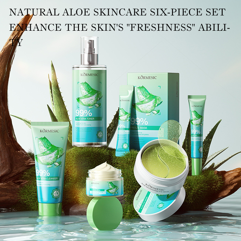 Aloe Vera Hautpflege-Set, rein – Skincare Viral Tiktok Bewertung und Preis